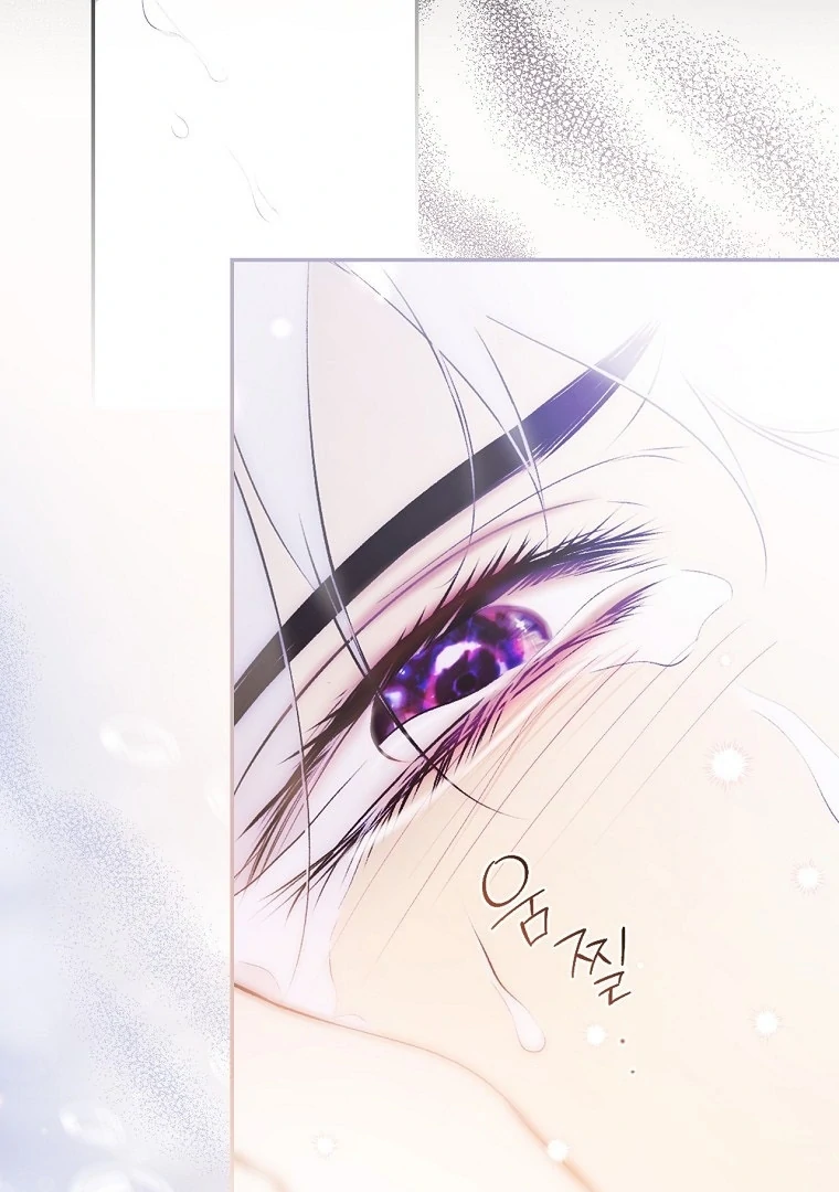 Secret Lady Chapter 117 63